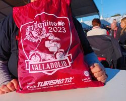 Locos por Pingüinos